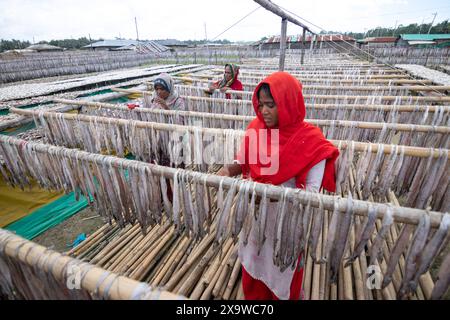 Chittagong, Bangladesch. 3. Juni 2024, Cox's Bazar, Chittagong, Bangladesch: Die Arbeiter trocknen im Cox's Bazar, Bangladesch. Sie schneiden und reinigen die Fische, fügen Salz hinzu und trocknen sie dann 4 bis 5 Tage lang auf Bambusplattformen in der Sonne. Die Verarbeitung von Trockenfischen erfordert eine konstante Hitze zum Trocknen. Nachdem die Fische richtig getrocknet sind, werden sie verpackt und zum Verkauf im in- und Ausland versandt. Getrockneter Fisch ist ein wichtiges Nahrungsmittel in Bangladesch. Quelle: ZUMA Press, Inc./Alamy Live News Stockfoto