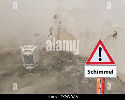 Achtung Warnschild Schimmel auf Deutsch, Symbolbild Stockfoto