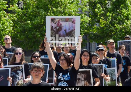 London, Großbritannien. Juni 2024. Tierschützer treffen sich mit Bildern von Tieren neben dem Wellington Arch in der Hyde Park Corner zum National Animal Rights Day Memorial. Die jährliche Veranstaltung, die in zahlreichen Ländern der Welt stattfindet, ehrt die Milliarden von Tieren, die von Menschen getötet, misshandelt und ausgebeutet wurden, und feiert den Fortschritt auf dem Weg zur Freiheit für alle Arten. Quelle: Vuk Valcic/Alamy Live News Stockfoto