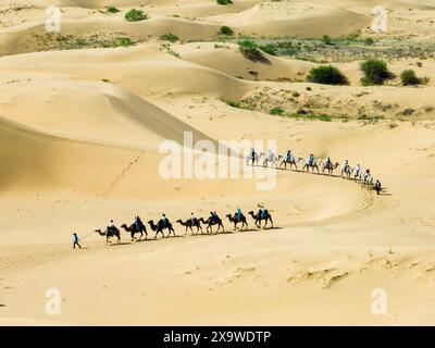 Ordos, China. Juni 2024. Am 31. Mai 2024 reiten Touristen auf Kamelen am malerischen Ort Yinkantara in der Kubuqi-Wüste in Ordos, der autonomen Region der Inneren Mongolei, China. (Foto: Costfoto/NurPhoto) Credit: NurPhoto SRL/Alamy Live News Stockfoto