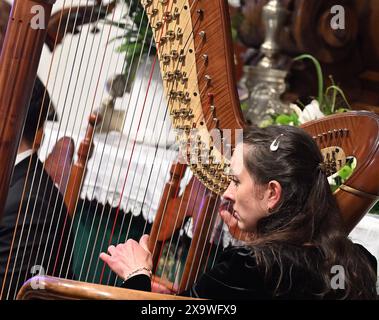 REKORDDATUM NICHT ANGEGEBEN Augustusburger Musiksommer startete Augustusburg – kleine Stadt mit großer Musik. Mit zwei Eröffnungskonzerten startete am Wochenende der Augustusburger Musiksommer in der Saison 2024. Das Programm unter der Leitung des jungen Kirchenmusikers Pascal Kaufmann umfasste Werke von Jean Sibelius und Edvard Grieg, darunter die berühmte Morgenstimmung und verschiedene Tänze aus Griegs Peer Gynt Suiten. Die Junge Philharmonie Augustusburg hat sich zum Ziel gesetzt, große sinfonische Musik im kleinen Ort erlebbar zu machen. Das Orchester wurde im November 2019 gegründet und vere Stockfoto