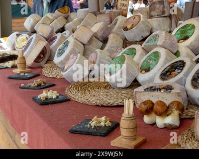 OVIEDO, SPANIEN - 10. MAI 2024: Käsefülle auf der Messe der Himmelfahrt in Oviedo, Asturien, Spanien. Stockfoto