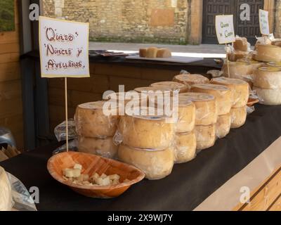 OVIEDO, SPANIEN - 10. MAI 2024: Käse mit Haselnuss aus Taramundi auf der Messe der Himmelfahrt in Oviedo, Asturien, Spanien. Stockfoto