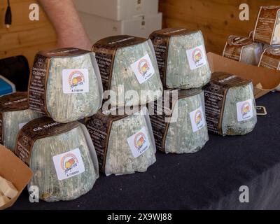 OVIEDO, SPANIEN - 10. MAI 2024: Traditioneller Afuega'l Pitu-Käse mit Schimmelpilz am Himmelfahrtstag in Oviedo, Asturien, Spanien. Stockfoto