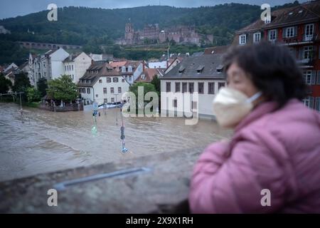 Schloss und Altstadt in Heidelberg, davor der Neckar in Hochwasserlage mit Pegelstand von 4,60 Meter Foto vom 02.06.2024. Die Hochwasserlage spitzt sich in einigen Gebieten Baden-Württemberg und Bayerns zu. Menschen in den Flutgebieten in Baden-Württemberg und Bayern müssen in Sicherheit gebracht werden, Daemme hält teils nicht stand. *** Schloss und Altstadt in Heidelberg, davor der Neckar in Hochwasserlage mit 4 60 Metern Foto vom 02 06 2024 die Hochwassersituation verschlechtert sich in einigen Gebieten Baden-Württembergs und Bayerns in der Stadt Stockfoto