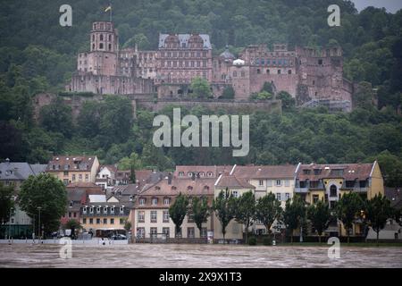 Schloss und Altstadt in Heidelberg, davor der Neckar in Hochwasserlage mit Pegelstand von 4,60 Meter Foto vom 02.06.2024. Die Hochwasserlage spitzt sich in einigen Gebieten Baden-Württemberg und Bayerns zu. Menschen in den Flutgebieten in Baden-Württemberg und Bayern müssen in Sicherheit gebracht werden, Daemme hält teils nicht stand. *** Schloss und Altstadt in Heidelberg, davor der Neckar in Hochwasserlage mit 4 60 Metern Foto vom 02 06 2024 die Hochwassersituation verschlechtert sich in einigen Gebieten Baden-Württembergs und Bayerns in der Stadt Stockfoto