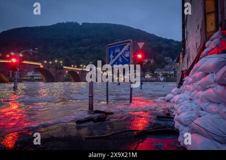 Der Neckar in Hochwasserlage mit Pegelstand von 4,60 Meter in Heidelberg Foto vom 02.06.2024. Die Hochwasserlage spitzt sich in einigen Gebieten Baden-Württemberg und Bayerns zu. Menschen in den Flutgebieten in Baden-Württemberg und Bayern müssen in Sicherheit gebracht werden, Daemme hält teils nicht stand. NUR REDAKTIONELLE VERWENDUNG *** der Neckar in Hochwassersituation mit einem Wasserstand von 4 60 Metern in Heidelberg Foto vom 02 06 2024 die Hochwassersituation verschlechtert sich in einigen Gebieten von Baden Württemberg und Bayern mussten die Menschen in den Hochwassergebieten Baden Württemberg und Bayern seien Sie hart Stockfoto