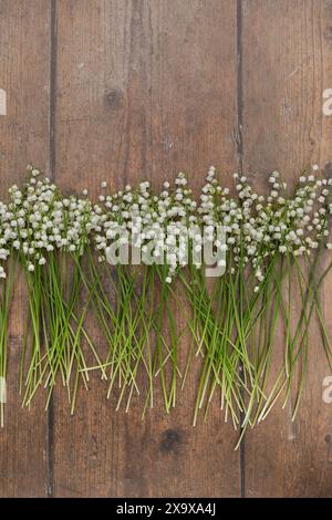Eine Reihe frisch gepflückter Maiglöckchen aus dem Tal, Convallaria majlis, auf hölzernem Hintergrund mit Kopierraum Stockfoto