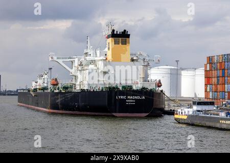 Ein Tanker im Hafen von Antwerpen, Flandern, Belgien Stockfoto