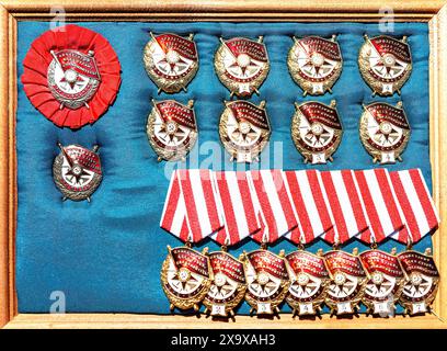 Vintage-Orden des Roten Banners mit der Aufschrift „Proletarier aller Länder, vereinigt euch“ und „UdSSR“. Sowjetischer Militärpreis. Gegründet im Jahr 1918 Stockfoto