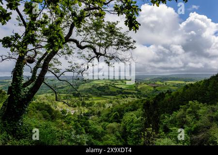 Blick von der Spitze der Lady Exmouth Falls, Canonteign Estate, Devon Stockfoto