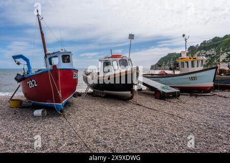 Fischerboote am Strand bei Beer, in der Nähe von Seaton, Devon Stockfoto