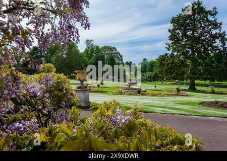 Der italienische Garten im Bicton Botanical Gardens, Devon Stockfoto