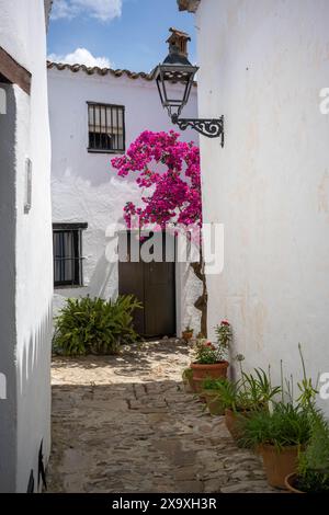 Häuser in Castella Del Frontera. Stockfoto