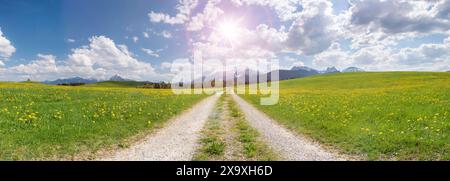 Panorama Landschaft im Allgäu Panorama Landschaft im Allgäu mit Frühlingswiesen und Fahrweg Bayern / Allgäu Deutschland *** Panorama Landschaft im Allgäu Stockfoto