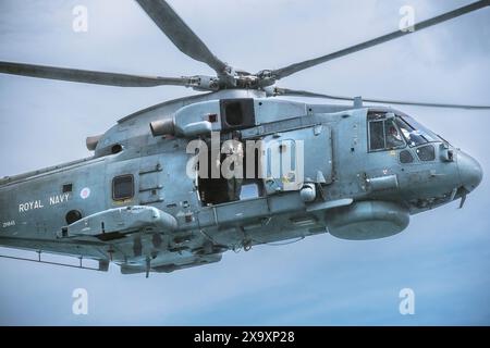 Ein Merlin Mk2 Anti-U-Boot-Hubschrauber der Royal Navy schwebt beim jährlichen Militärtag im Trebah Garden in Cornwall, Großbritannien. Stockfoto