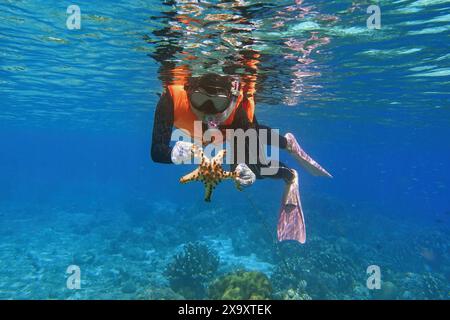 Indonesien Bunaken - Marine Life Korallenriff mit Seestern Stockfoto