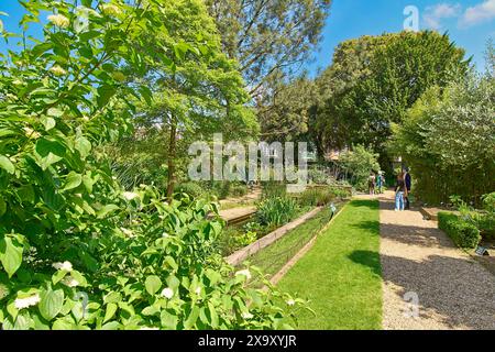 Chelsea Physic Garden blauer Himmel über dem rechteckigen Teich mit gelben Iris Stockfoto