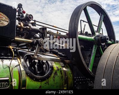 Thomas Weekes and Sons Sheers Barton Lawwhitton Green und goldfarbene Dampftriebmaschine Stockfoto