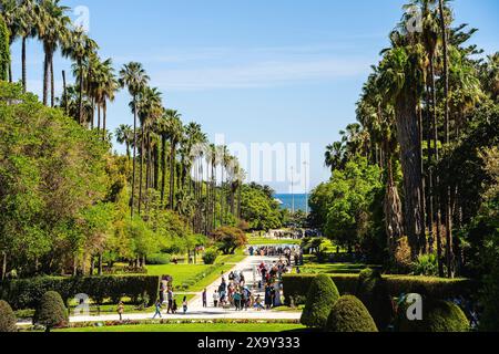 Algier City Scenes, Algerien, HDR Image Stockfoto