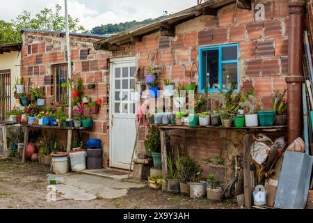 Die Fassade eines kleinen Hauses mit vielen Pflanzen, die in improvisierten Plastiktöpfen wachsen, in der Stadt Arcabuco in den östlichen Andengebirgen Stockfoto