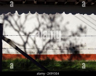 Die Schatten der Vegetation und das von der Morgensonne gegossene Tonziegeldach auf die weiße Wand eines Landhauses in den östlichen Andengebirgen Stockfoto