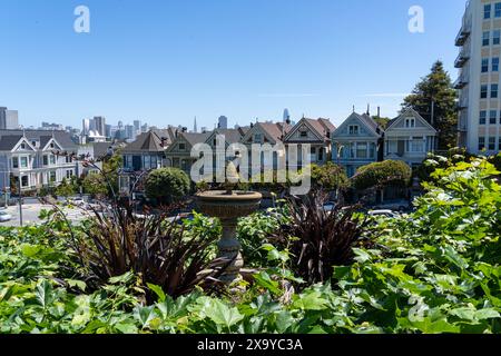 Die ikonischen bemalten Damenhäuser in San Francisco, CA, USA Stockfoto