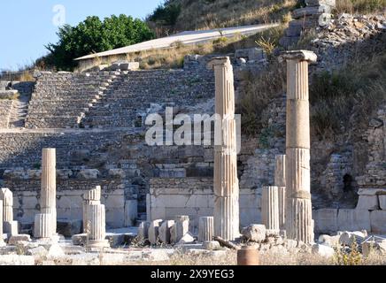 Die Basilika, Ephesus, Selcuk, Provinz Izmir, Türkei Stockfoto