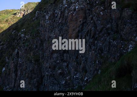 Rocky Cliff Face am Giant's Causeway, Nordirland Stockfoto