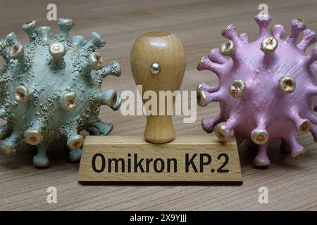 Corona-Modelle und Stempel mit Omikron KP.2 Corona-Modelle und Stempel mit Omikron KP.2, 03.06.2024, Borkwalde, Brandenburg, Zwischen zwei Corona-Modelle befindet sich ein Stempel mit dem Schriftzug Omikron KP.2. *** Corona Modelle und Stempel mit Omikron KP 2 Corona Modelle und Stempel mit Omikron KP 2, 03 06 2024, Borkwalde, Brandenburg, Zwischen zwei Corona Modellen gibt es einen Stempel mit der Schrift Omikron KP 2 Stockfoto