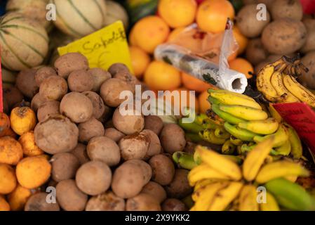 Verschiedene Früchte auf einem Markt Stockfoto