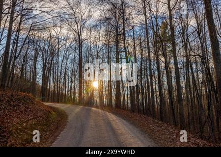 Eine ländliche Straße, die sich durch ein bewaldetes Gebiet schlängelt Stockfoto