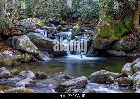 Ein Fluss, der durch dichten, grünen Wald mit verstreuten Felsen fließt Stockfoto