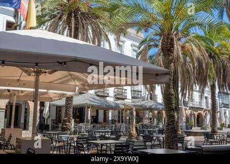 Die Tische und Schirme auf der Plaza Grande de Zafra, Spanien, umgeben von Palmen Stockfoto