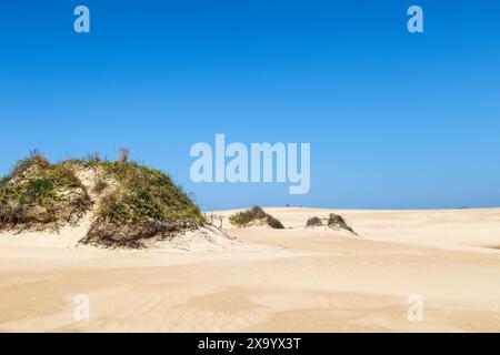 Nags Head, Outer Banks, North Carolina, USA, 18. April, 2024: Touristen können in der Ferne auf der Spitze einer Sanddüne im Jockey's Ridge State gesehen werden Stockfoto