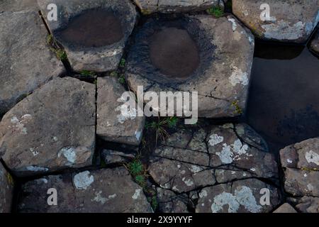 Sechseckige Basaltsteine mit Wasserbecken und Flechten Stockfoto