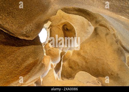 Details und Kurven des Granit Bear Rock, Stein Hintergrund, Capo d'Orso, Sardinien, Italien Stockfoto