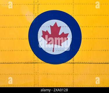 Nahaufnahme des stilisierten roten Ahornblattes in einem weißen Kreis, der von Blau umrahmt wird, das das Abzeichen der Royal Canadian Air Force darstellt. Stockfoto