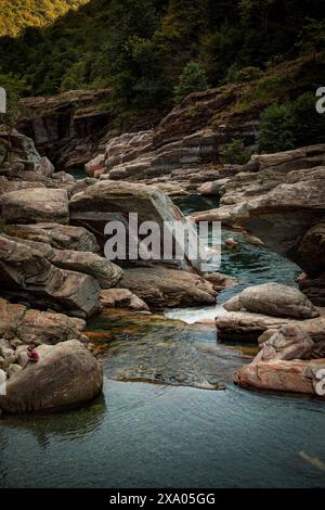 Der Wasserfall fällt über Felsen in üppiger Waldlandschaft Stockfoto