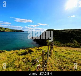 Das Port Jackson, Neuseeland mit Strandatmosphäre Stockfoto