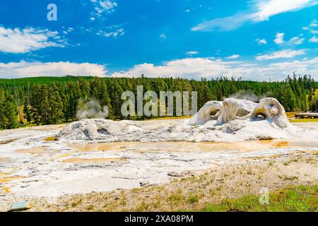 Rocket Geyser im Yellowstone National Park, Wyoming Stockfoto