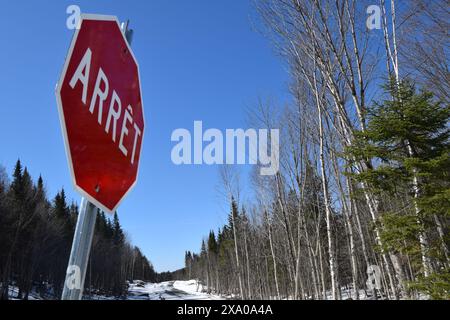 Ein rotes Stoppschild an einer verschneiten Straße Stockfoto