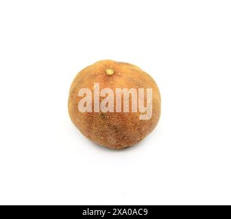 iranische getrocknete ganze Limetten, persische Kochzutaten Stockfoto