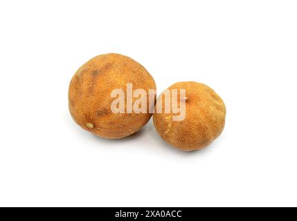 iranische getrocknete ganze Limetten, persische Kochzutaten Stockfoto