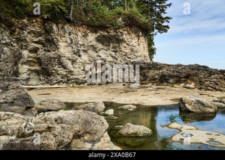 Eine zerklüftete Klippe mit hohen Bäumen und ihrer Reflexion in einem Gezeitenbecken. An einem hellen Sommertag an einem beliebten Strand. Stockfoto