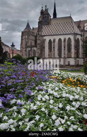 Eine historische katholische Kathedrale in Kosice, Slowakei, die der Heiligen Elisabeth von Ungarn gewidmet ist Stockfoto