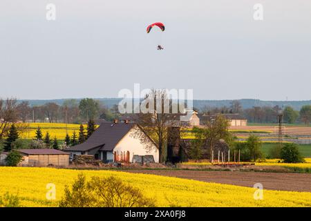 Ein malerischer Blick auf Menschen, die über gelbe Blumenfelder und Häuser auf dem Land Paragliding fahren Stockfoto