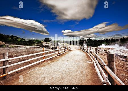 Ein Pfad in Te Puia, Rotorua Geothermal Park, Neuseeland Stockfoto