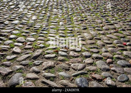 Hintergrund eines Bürgersteigs aus ovalem Naturstein in hellem Flieder, grauer Farbe. Stockfoto