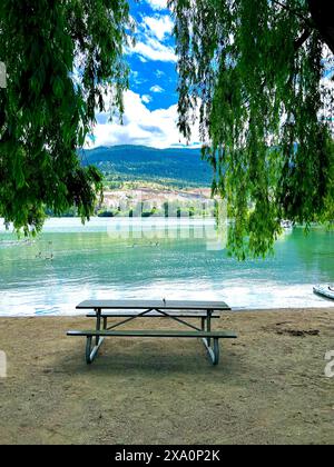 Ein Picknicktisch unter Bäumen mit Meerblick im Park Stockfoto